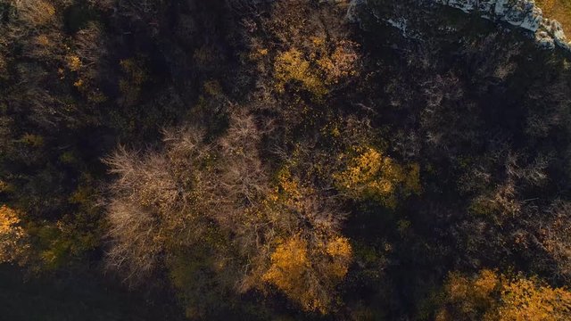 Trees from above at sunset. Beautiful countryside in Poland called Polish Jurassic Highland also known as Jura Krakowsko-Czestochowska. Aerial, drone footage.