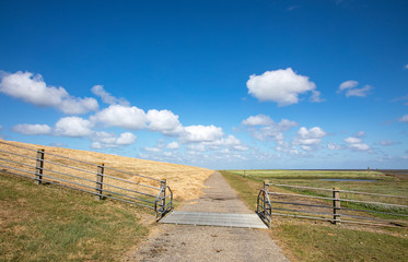Dike with cattle grid along the coast of the island Schiermonnikoog on the wadden sea side,...