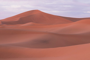 Fototapeta na wymiar Desert landscape sand dunes at sunset sky near Merzouga, Morocco, Africa. Discovery and adventure travel concept. Sunlight over the desert dunes.