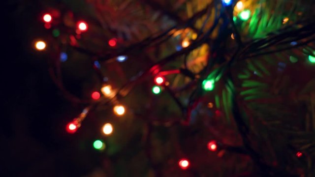 Christmas lights on a little fir. Christmas background. Garland of small multi-colored incandescent lamps