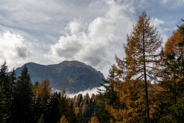 Südtirol