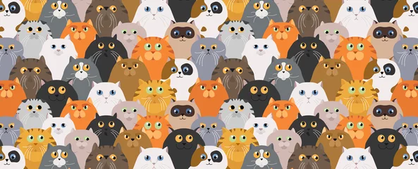 Fotobehang Katten Kattenposter. Cartoon kat tekens naadloze patroon. Verschillende kattenhoudingen en emoties ingesteld. Egale kleur eenvoudig stijlontwerp