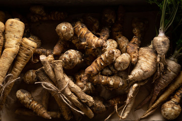 Fresh local winter roots background