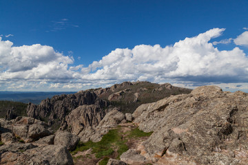 Custer State Park Landscape View