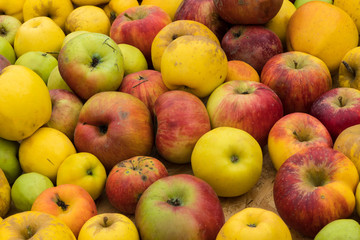 Äpfel aus Streuobstwiesen