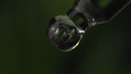 Close up of liquid oil drop from lab pipette on exotic green plant leaf bokeh background. Closeup of lavender extract droplets are falling from glass pipette.