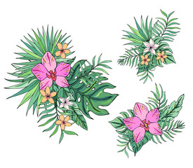 Tropical bouquet with plumeria, orchid and palm leaves. Vector isolated illustration on white background. Exotic set tropical garden for wedding invitations, greeting card and fashion design.Set.