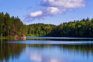 Fototapeta na wymiar Forest lake shore landscape . Summer forest lake shore panorama. Forest lake shore view