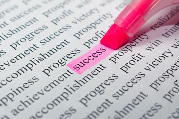 Motivational concept: person highlight the word success between many other words with a pink...