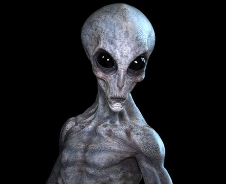 alien or extraterrestrial portrait - isolated