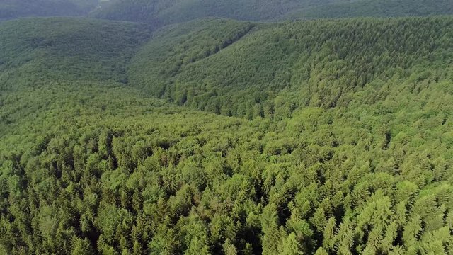 Beautiful forest in Poland, Beskid mountain ranges in the Carpathians. Aerial, drone footage.
