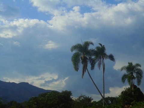 D&iacute;a Nublado en monta&ntilde;as colombianas