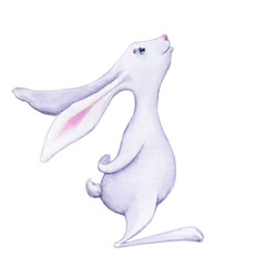 Easter bunny rabbit isolated on white. Bunny on isolated background. The rabbit from Wonderland looks up. Hare for a holiday card in a vector for printing.