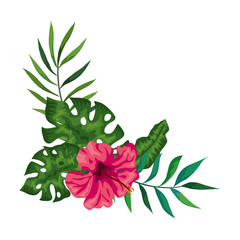 flower of pink color with branches and leafs vector illustration design