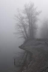 Obraz na płótnie Canvas Fog in winter forest by a river