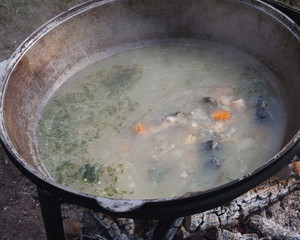 the process of cooking fish soup in a cauldron on the street. soup for a group of people camping in nature.