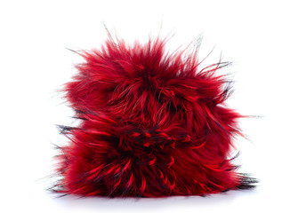 Red fur clothing beauty on white background isolation