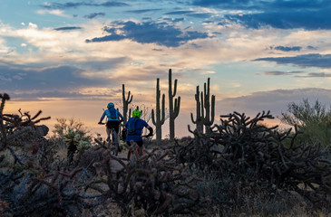 Mountain Bikers On Desert Trail With Cactus