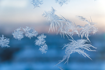 frosty patterns in winter on the window