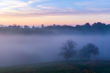 sunrise over the fog and forest