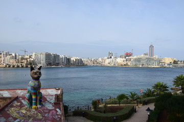 Maltański kot na tle miasta