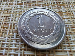 Polish Zloty. Official Currency of Poland in Denominations. Zlotych Macro Shot.