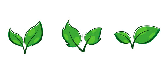 Set of green leaves design elements.