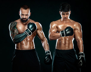 Fototapeta na wymiar Boxing concept. Sport and fitness motivation. Individual sports recreation. Group of boxers in gloves isolated on black background.