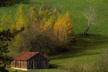 old barn in the field