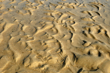 Golden sand - beach