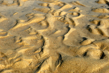 Golden sand - beach