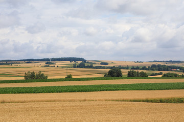 Tranquil rural scenery