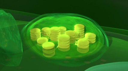 Plant cell and chloroplast anatomy, photosynthesis, 3d educational animation