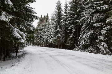 Snowy winter in Slovakia. Hight Tatras. Podbanske village
