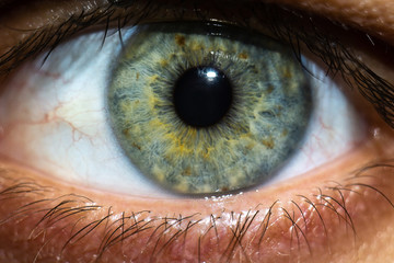 close up of eye