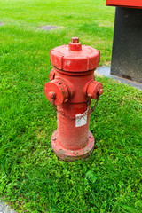 Fire hydrant in the green grass