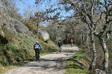 Ciclismo de Montaña