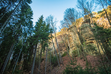 View of the rocks through the forest. Sunny weather in Kokorinsko (Kokořínsko) a  protected landscape area in Czech Republic. 