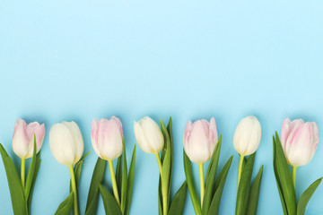 A row of tulips with copy space background for Mother's day decoration	