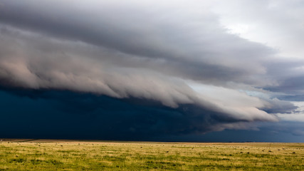 Storm clouds over a field
