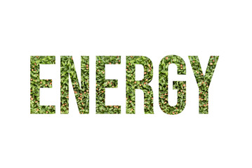 Microgreen font word ENERGY made of cilantro microgreen on white background with paper cut shape of letter. Collection of flora font for your unique decoration in summer