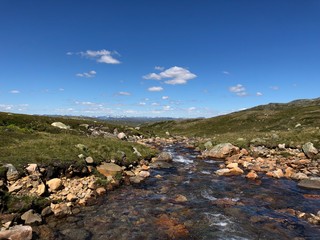 Southern Norway Summer Nature