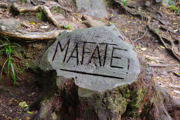 Mafate - ïle de la Réunion (inscription sur une souche)