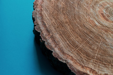 Wooden round with thick bark on blue background. Selective focus