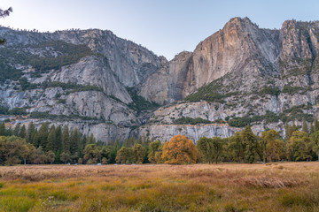 Fototapeta na wymiar Landscape View of Open Meadows in Yosemite Park During the Fall Season With Clear Skies