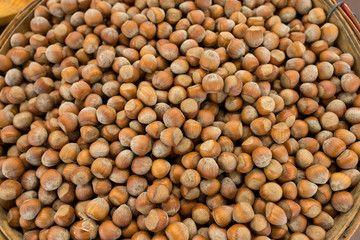 Top View of Large Bucket Full of Eggcorns