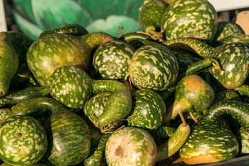 View of Stack of  Green Pumpkin With Yellow Spots