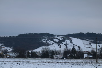 wälder
