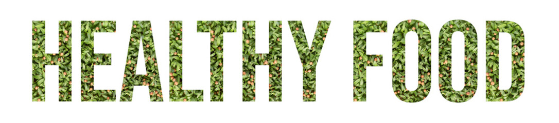 Microgreen font word HEALTHY FOOD made of cilantro microgreen on white background with paper cut shape of letter. Collection of flora font for your unique decoration in summer