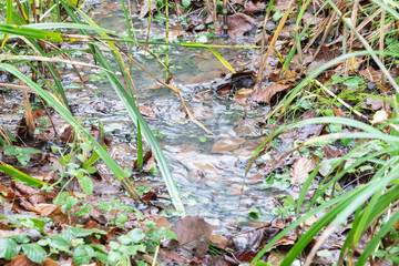 running water